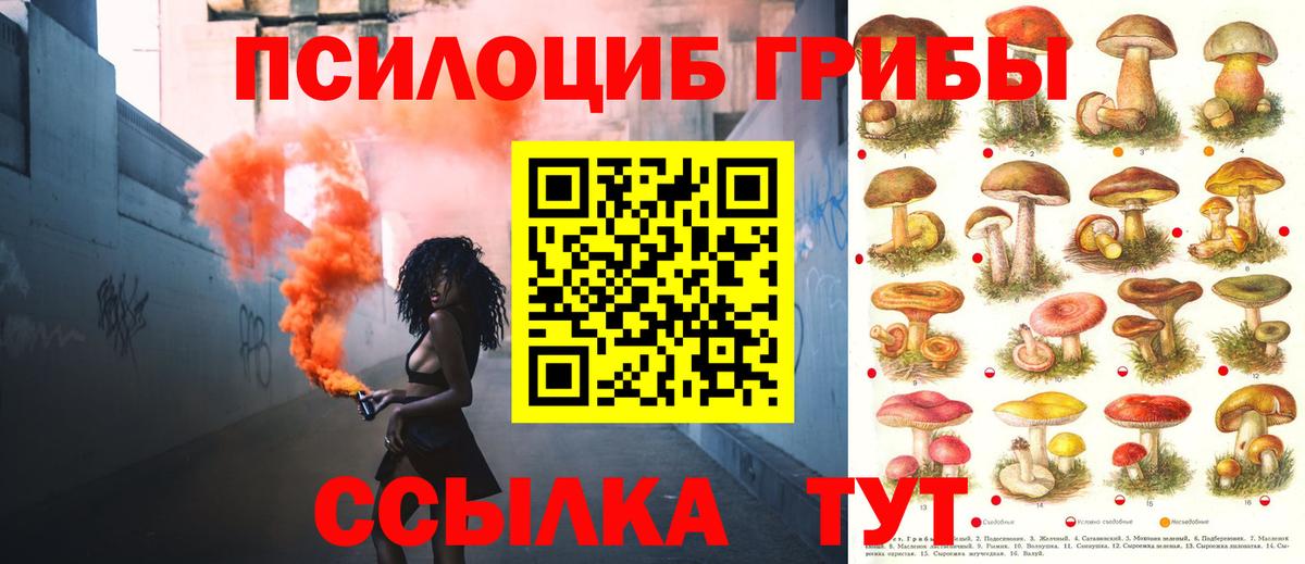Галлюциногенные грибы мухоморы  Вход с VPN  Выкса 